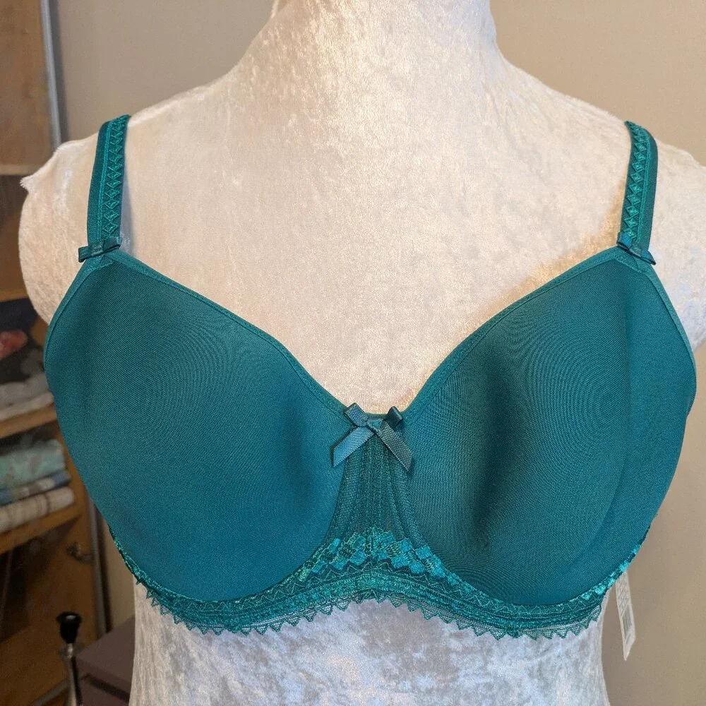 Fantasie Rebecca Bra Teal 30F NWT - Picture 1 of 4